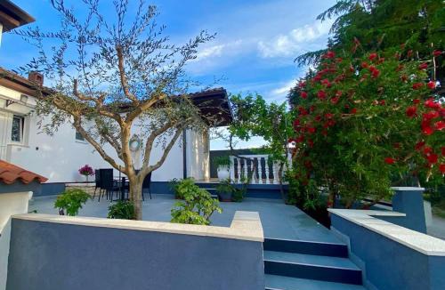 Basanija Apartment | Apartment Ambretta