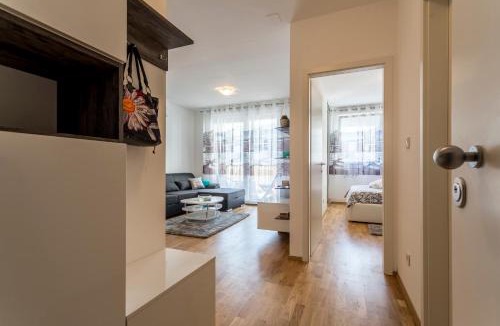 Mejasi Apartment | Apartment Luka