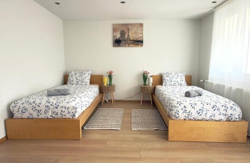 Munchenstein House | Basel Haven101 Modern Home Free Parking Wifi