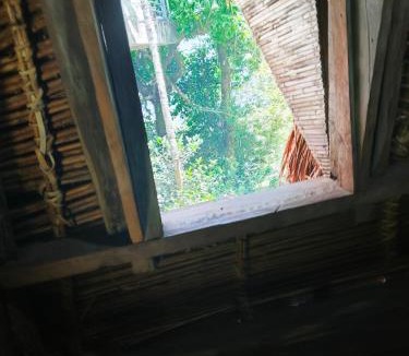 Batad House | Batad Pension and Restaurant Native House