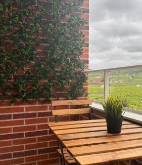 Cenicero Apartment | Casa Cristina - Rioja II