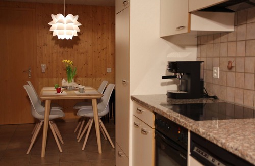 Innertkirchen Apartment | Chalet 9 (apartment on the upper floor)