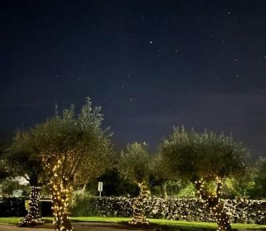 Porto de Mos House | Charming House with Private Pool in Porto de Mós