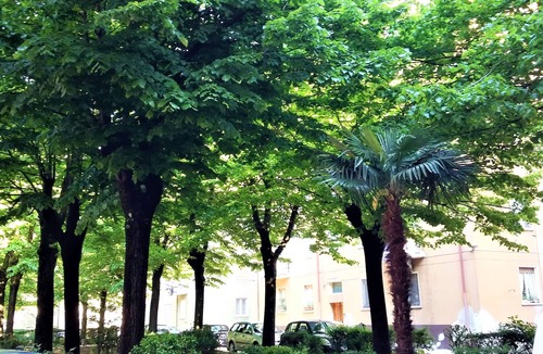 Cittadella Apartment | Cozy train station