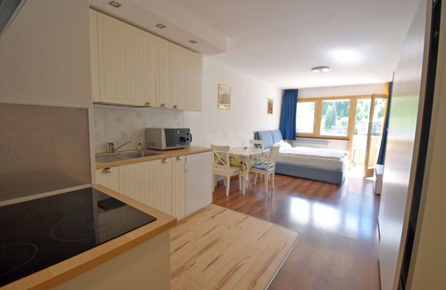 Madonna di Campiglio Apartment | EMERALD 36 STUDIO 022143-AT-672307
