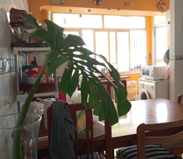 Gandia House | Habítacion privada amplia