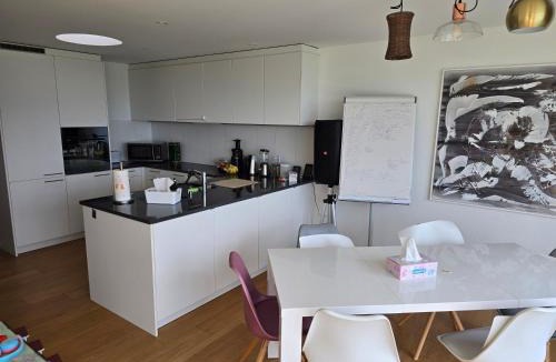 Meilen District House | Helles WG Zimmer 1von4 in fantastischer Attikawohnung