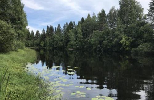 Tohmajarvi Apartment | Jänisjoen Tuvat