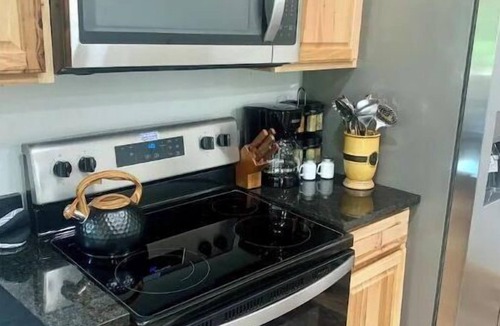 Downsville House | Kayak/Canoe/Fish & Relax right from the backyard of this Riverfront 3 B/R home!