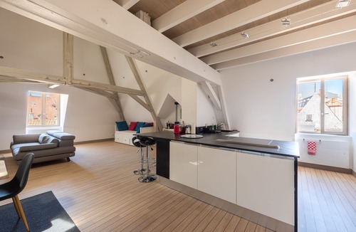 Dijon Centre Ville Apartment | Le Palais, right in the heart of Dijon!