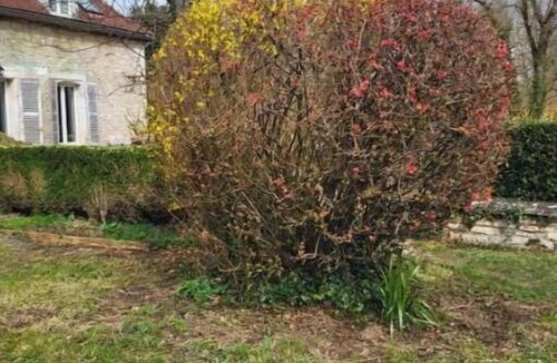 Escolives-Sainte-Camille House | Les Oiseaux de Passage – 3-Bedroom Vacation Home Near Auxerre