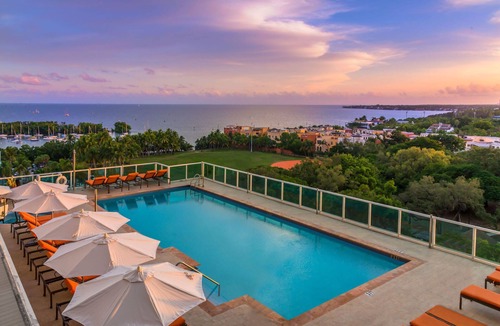 Coconut Grove Apartment | MVR-The Ultimate Miami Escape w-Skyline Views