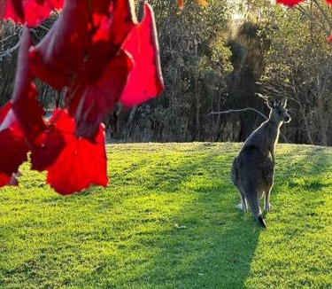 Splitters Creek House | Peaceful getaway in stunning bush setting