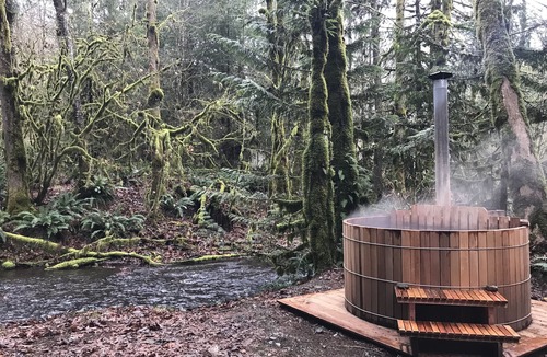 Maple Falls Cabin | Pull out and relax in the Retro Cabin
