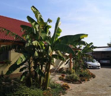 Mako Apartment | Ráday Apartman