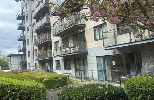 Stepaside Apartment | Spacious room with a relaxing view