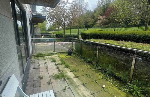 Stepaside Apartment | Spacious room with a relaxing view