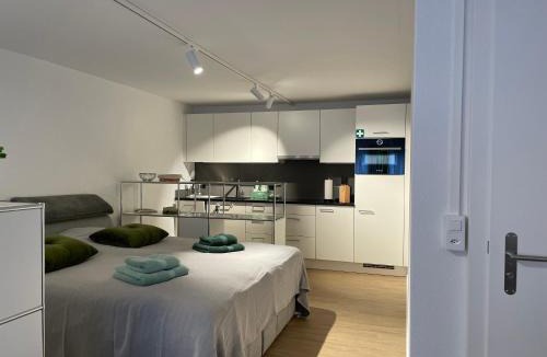 Uster District Apartment | Studio Gocki