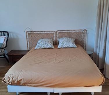 Dol-de-Bretagne Apartment | Studio plein centre
