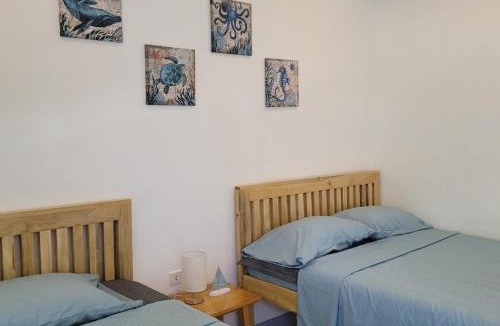 Basdiot Apartment | TuloMir #B 뚤로미르 행복한 3인실
