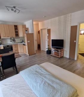 Ebersdorf Apartment | Voll ausgestattet, Nähe Heiltherme Bad Waltersdorf