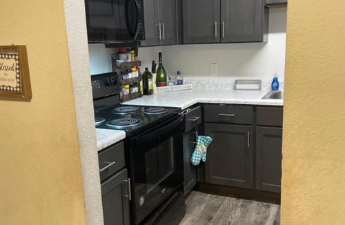 Tallahassee Apartment | Where cozy meets comfort