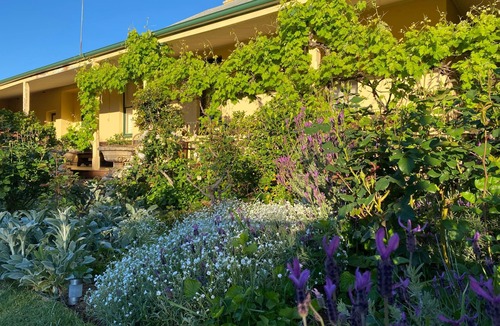 Parkes House | Wonga - A secluded oasis in the heart of Parkes