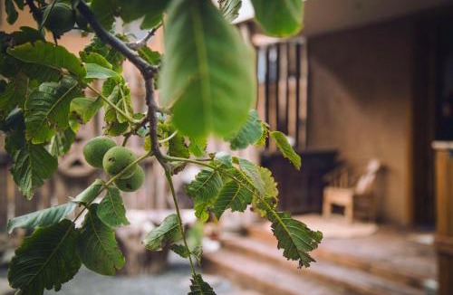 Xiaojin County Hotel | Xicen B&B