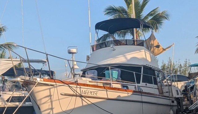 43' Classic Trawler 5 Star Resort Pools, Views, Dining Free Shuttle to Downtown