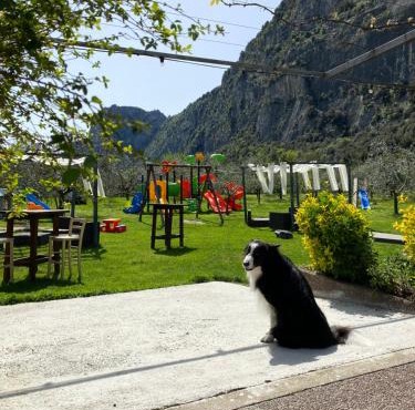 Alla Pergola