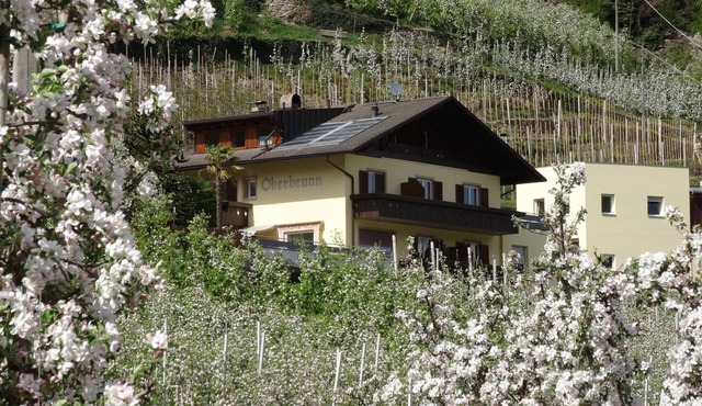 Apartment 'Himmelschlüssel' with Mountain View, Shared Pool and Wi-Fi