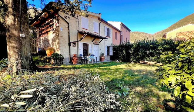Authentic and Peaceful Tuscan Cottage Among Olive Trees - Between Lucca and Pisa