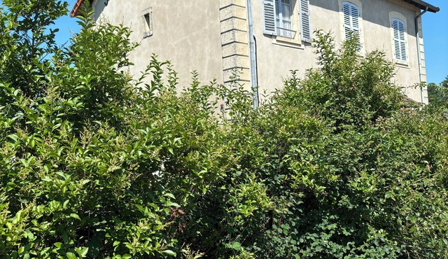 Beautifully renovated country house, large garden, in a typical burgundy village