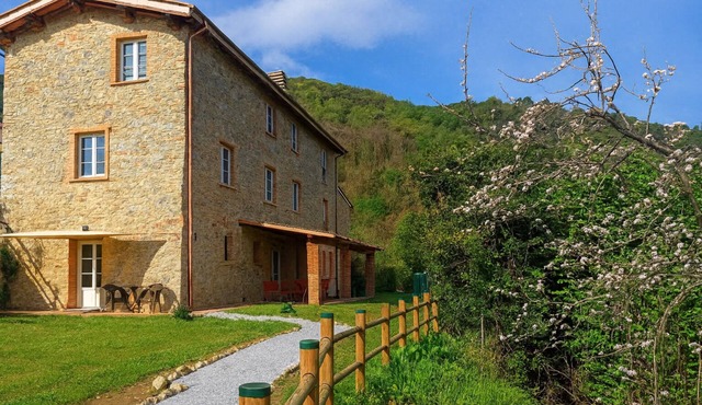 Casa Formentale: a cozy apartment in Tuscany farmhouse surrounded by olive trees