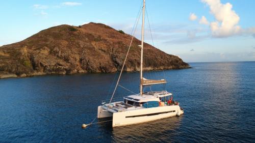 CATAMARAN ZEPHYR EXPERIENCE EXCLUSIVE Navigation, diner, nuit, petit-déjeuner inclus