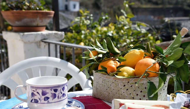 Comfortable bed and breakfast with private Parking