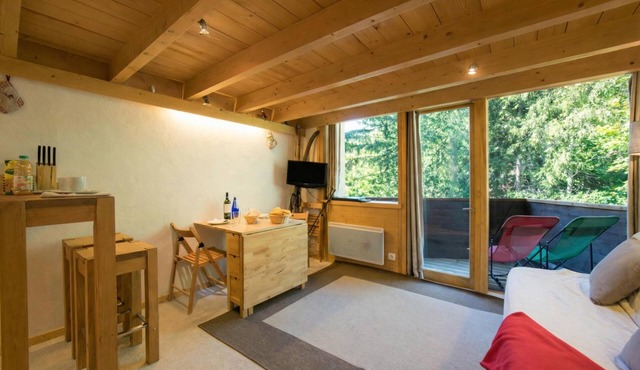 Grand Roc A104 150m from Slopes, Parking & WiFi, Argentière (Chamonix), France