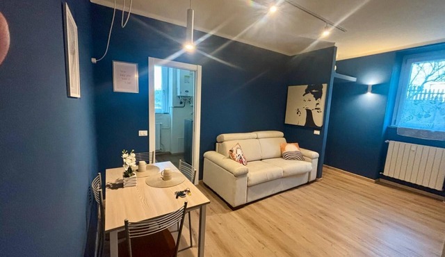 LARGE STUDIO APARTMENT, SHORT RENTALS SUITABLE FOR SINGLES, FAMILIES