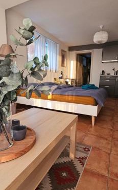 Magnifique Studio à louer