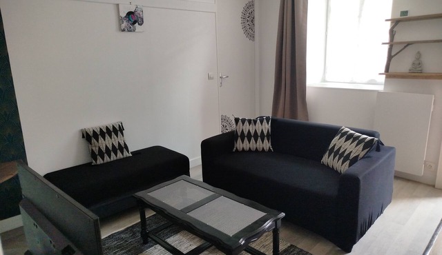 Renovated apartment in quiet wine-growing village. 15min from Auxerre.