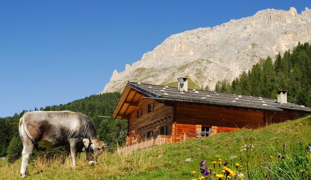 Ski-In Vacation Home “Thaleralm” on the Alp with Mountain View, Terrace & Garden