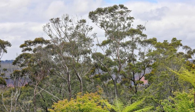 Sublime Art Deco Cottage - Leura, Blue Mountains