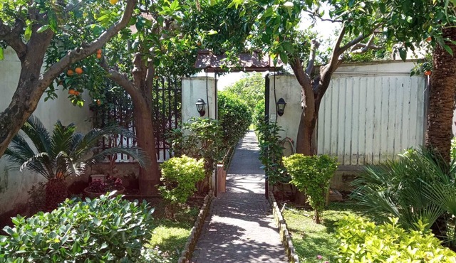 The Citrus Garden