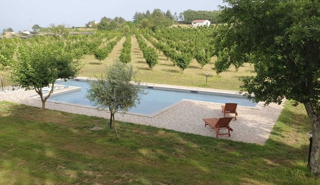 Villa Domus Nirale, 4 km from Civita di Bagnoregio, panorama of Lake Bolsena.