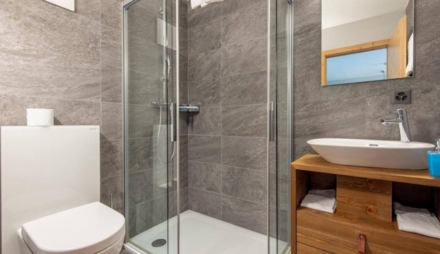 Wifi, 250m from shops, fitness, sauna, hammam, terrace, tv, ski locker, 58m², Vercorin