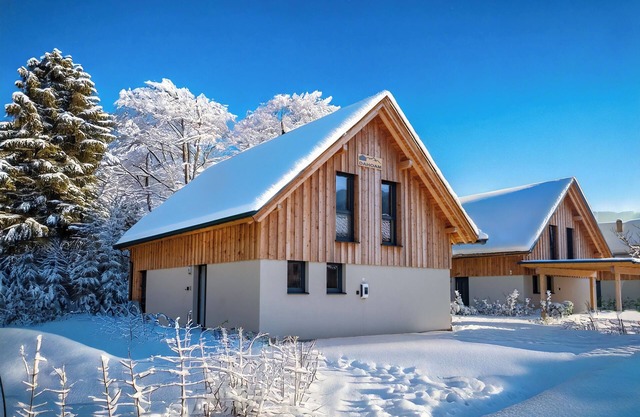 Luxurious chalet with sauna