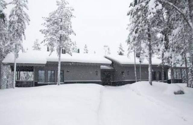 Tunturipöllö 3