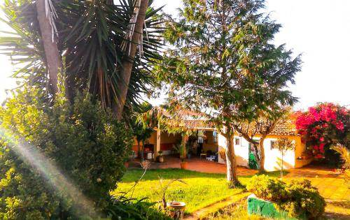 Algueirao - Mem Martins Bed & Breakfast | 25 m² Bed and breakfast ∙ 2 guests