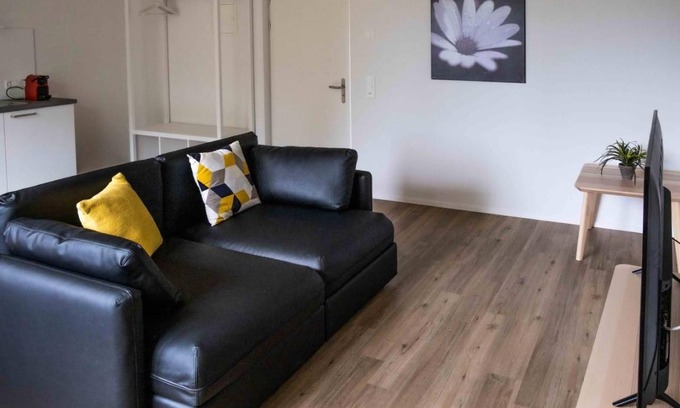 Schaffhausen Apartment | 48 m² Apartment ∙ 1 bedroom ∙ 2 guests