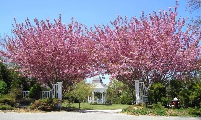 Orleans House | 5 bedrooms ocean view estate overlooking cape cod bay
